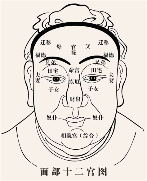 面有肉 面相